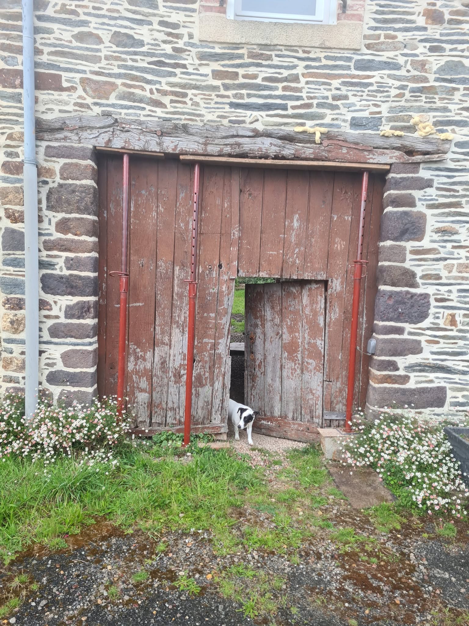 before-image